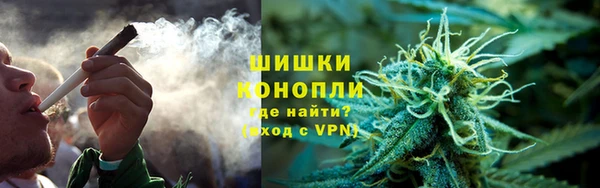 гидропоника Алзамай