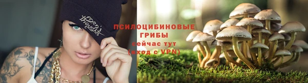 2c-b Абаза