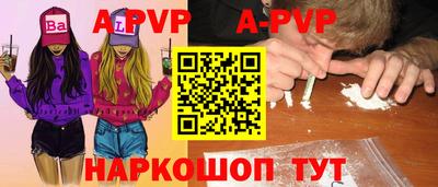 СК Кингисепп