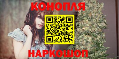СК Кингисепп