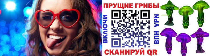 блэк спрут как зайти  Лабинск  Галлюциногенные грибы GOLDEN TEACHER 